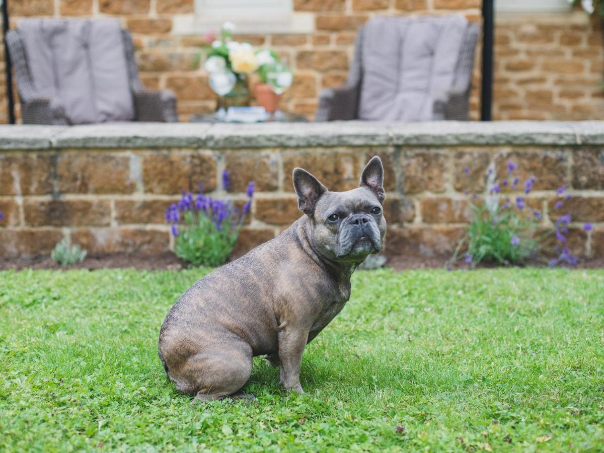 Holiday home Climbing Rose - Dog Friendly - Peaceful Cotswold *